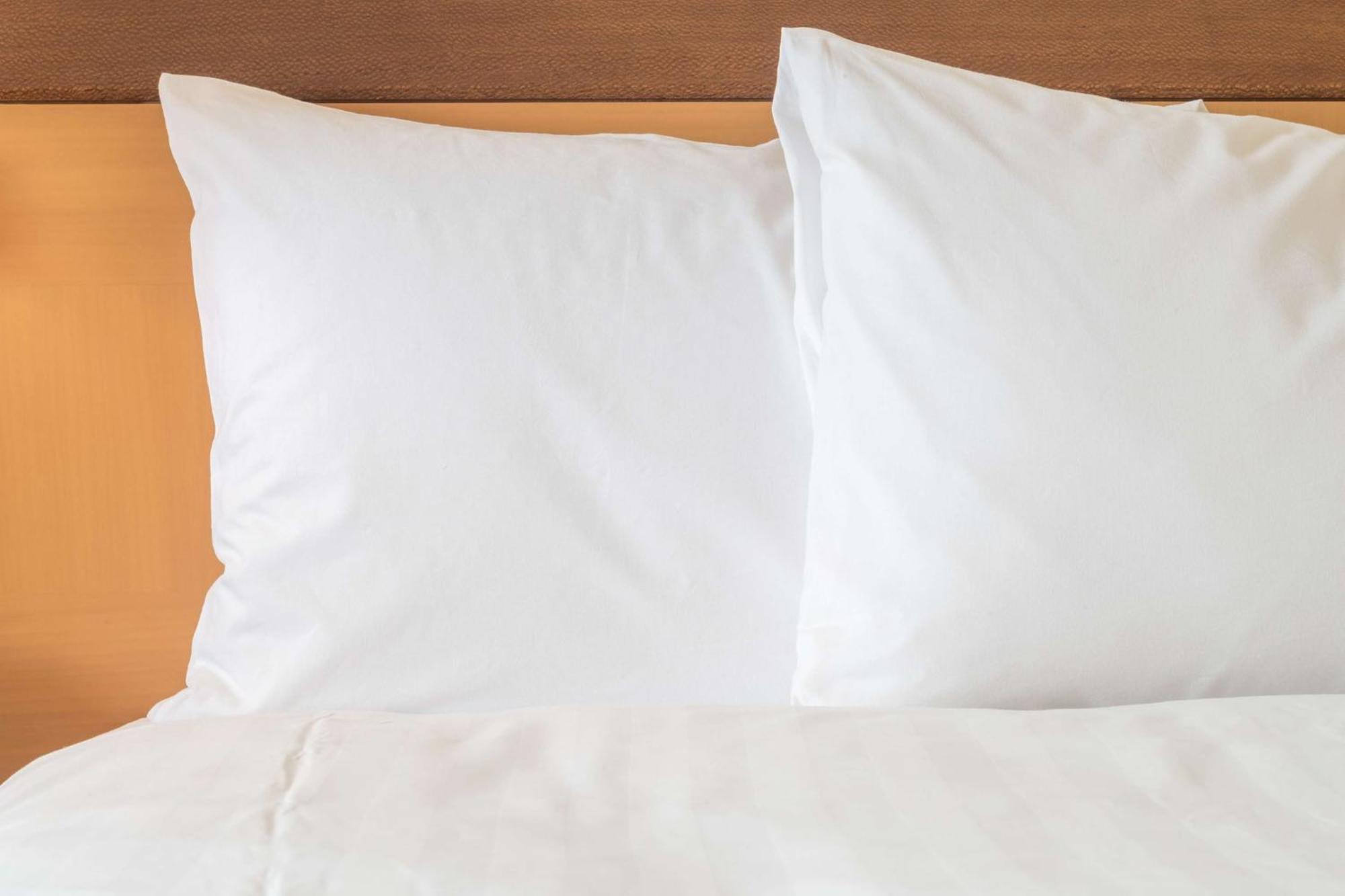 Holiday Inn Nashville - Vanderbilt - Dwtn By Ihg 3* Nashville